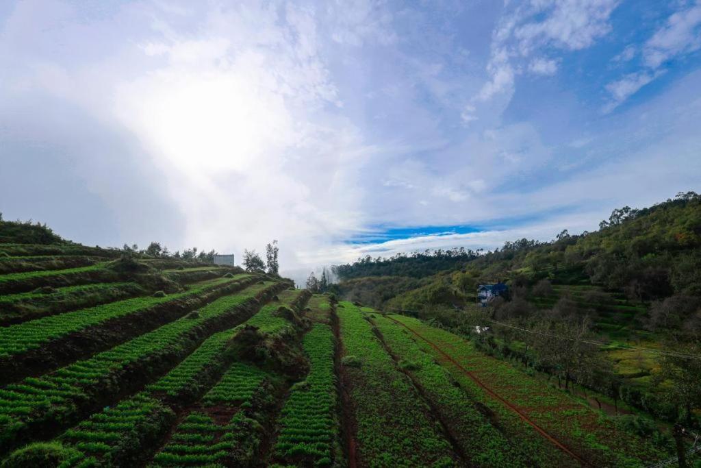 Starlight Hotels Kodai Kodaikanal Exteriör bild